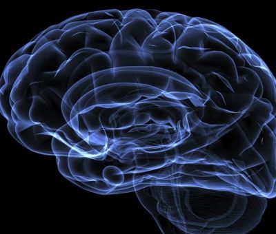 Clinical Tests Show HGH Benefits the Brain