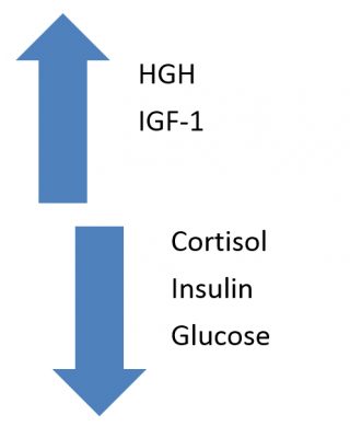 The amount of HGH in the bloodstream has a direct impact on insulin and glucose levels