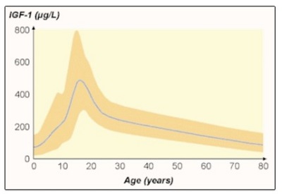 growth hormone decline chart