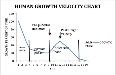 skeetal growth velocity