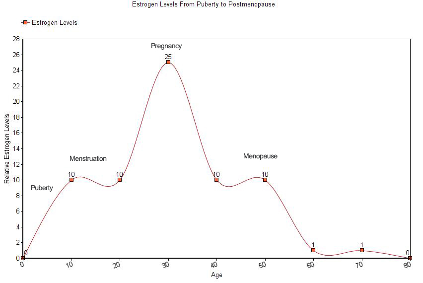 Estrogen Levels From Puberty to Postmenopause