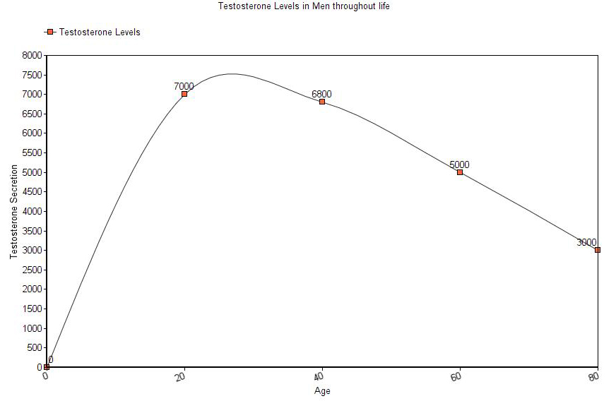 Testosterone Levels in Men throughout life