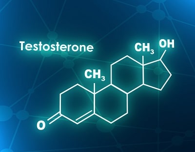 Testosterone and Immunity: How Do Gender Differences Affect our Immune System