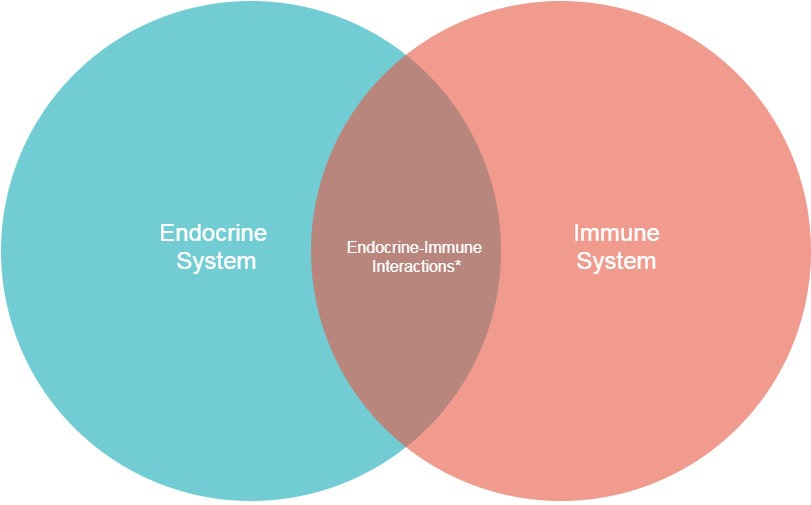 Endocrine system and Immune system interactions