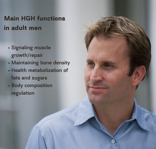 Main HGH functions in adult men