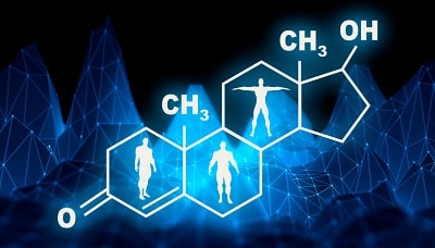 Molecular representation of testosterone