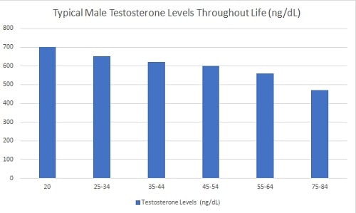 Chart - Typical Male Testosterone Levels Decline Throughout Life (ngdL)