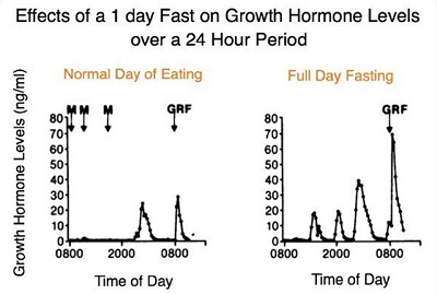 How to Avoid HGH Gut and fasting