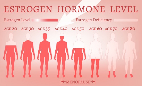 Estrogen Hormone Level