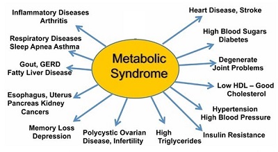 Metabolic Syndrome Effects