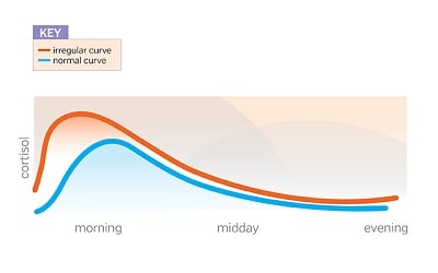 cortisol normal chart