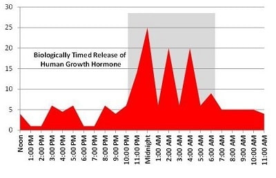 circadian rythm and hgh