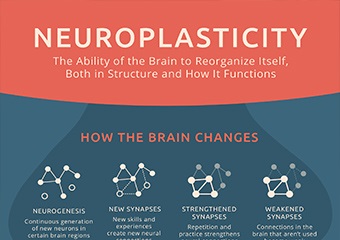 neuroplasticity