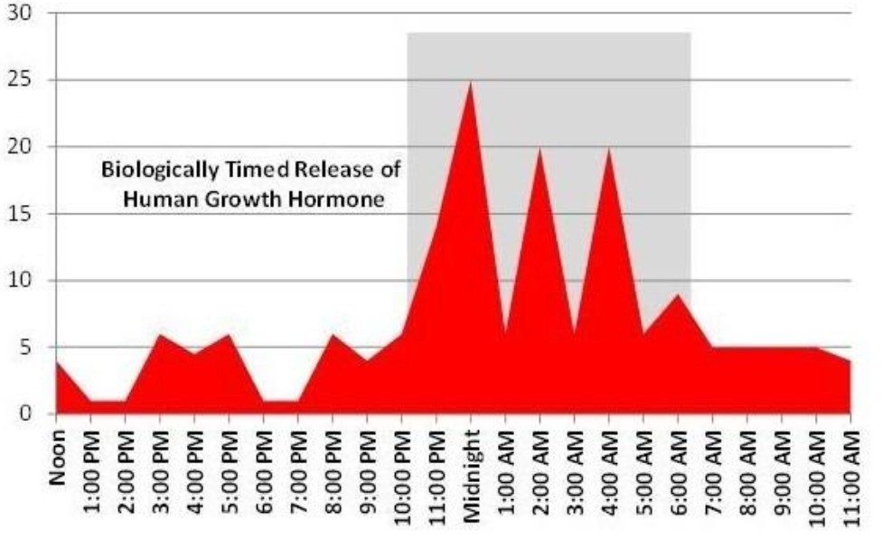 Biologically timed release of HGH