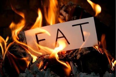 How Can HGH Burn Fat?