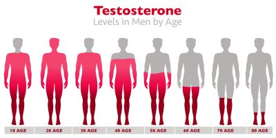 testosterone is one of the key hormones in man's body