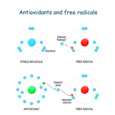 antioxidants and free radicals_1