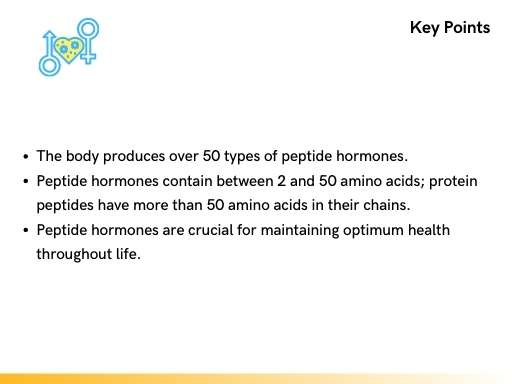 key points about peptide hormones