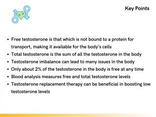 Key Points About Free and Total Testosterone