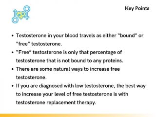 Key Points About Free Testosterone in 2023