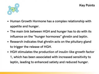 Key Points About HGH and Hunger