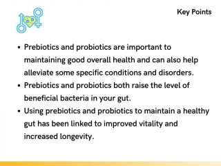 Key Points About Pre and Probiotics