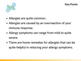 home remedies for allergies key points