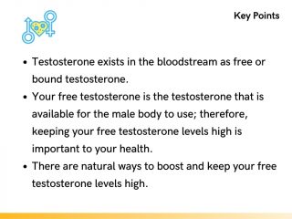 free testosterone key points